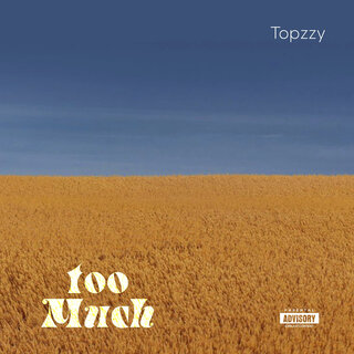 Too Much lyrics | Boomplay Music