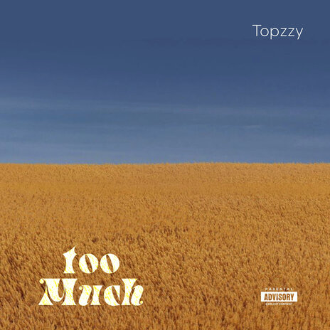 Too Much | Boomplay Music