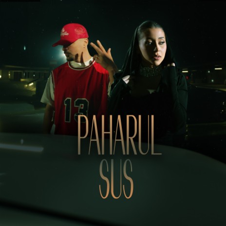 Paharul sus ft. Puya | Boomplay Music