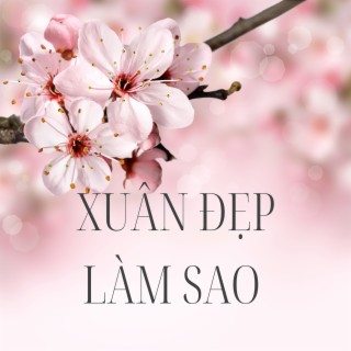 Mùa Xuân Đẹp Làm Sao