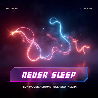 Never Sleep | Festival Techno | Big Room