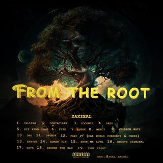 FROM THE ROOT