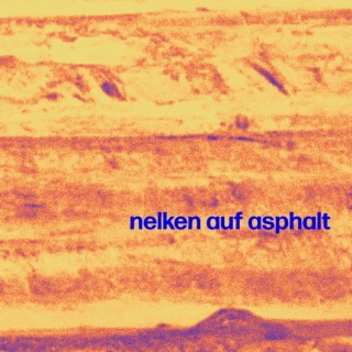 nelken auf asphalt