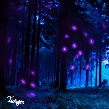 Indigo Fireflies