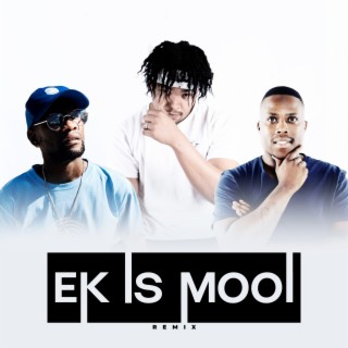Ek Is Mooi (Remix)
