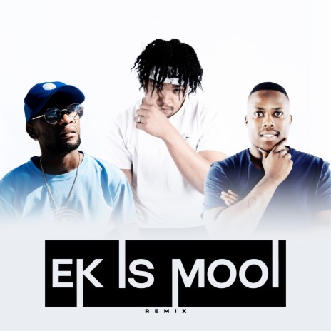 Ek Is Mooi (Remix) ft. El Maestro & TP