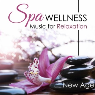 Spa Wellness: Hang Drum Relaxation Music, Music for Massage, Meditation, Relaxation, Sleep, Tai Chi and Lullabies to Help You Relax, Meditate and Heal with Nature Sounds and Natural White Noise