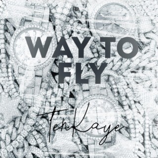 Way to fly