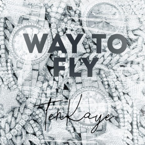 Way to fly | Boomplay Music