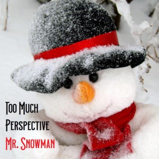 Mr Snowman