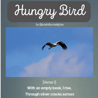 Hungry Bird