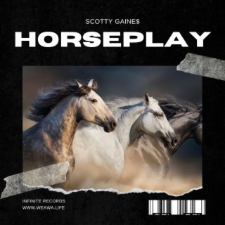 HORSEPLAY