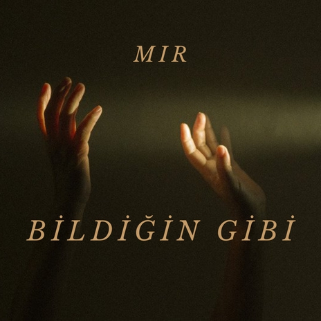 Bildiğin Gibi | Boomplay Music