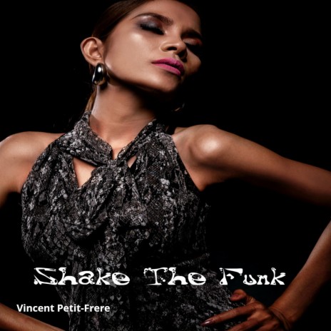 Shake the Funk | Boomplay Music