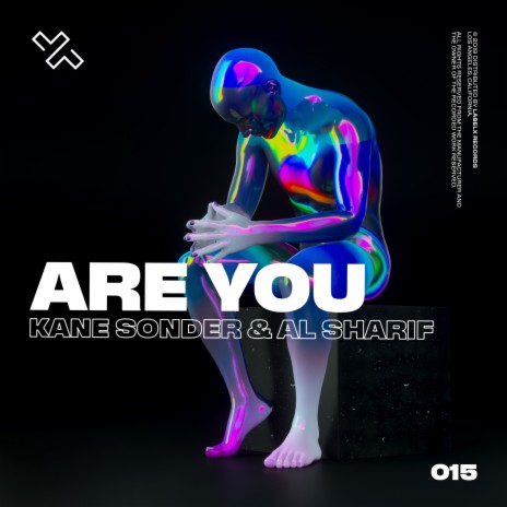Are You (Radio Edit) ft. Al Sharif | Boomplay Music