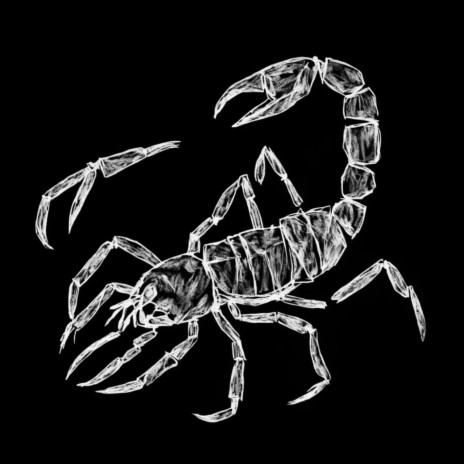 Scorpion | Boomplay Music