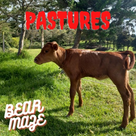 Pastures | Boomplay Music