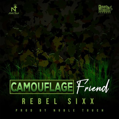 Camouflage Friend