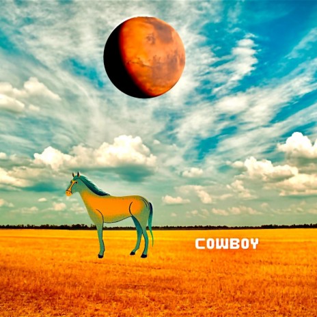 COWBOY | Boomplay Music