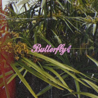 Butterfly (Firefly Remix)