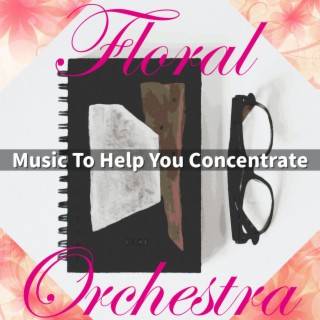 Music To Help You Concentrate