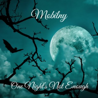 One Night's Not Enough (Radio Edit)