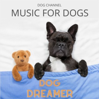 Dog Dreamer