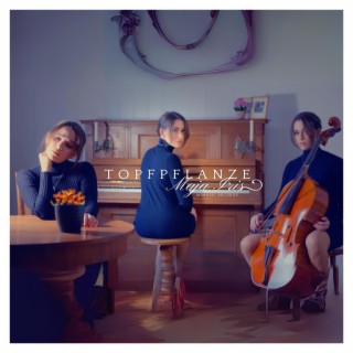 Topfpflanze lyrics | Boomplay Music
