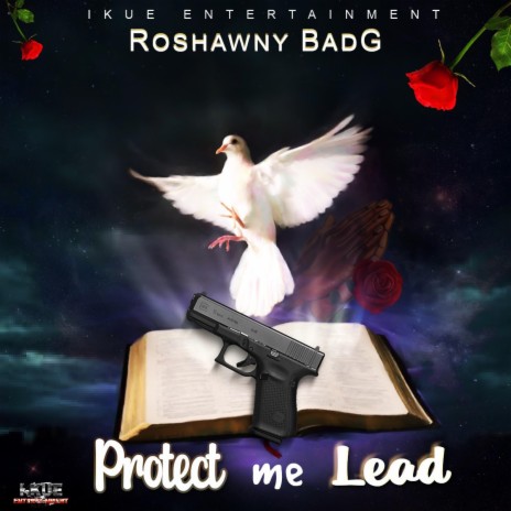 Protect Me Lead | Boomplay Music