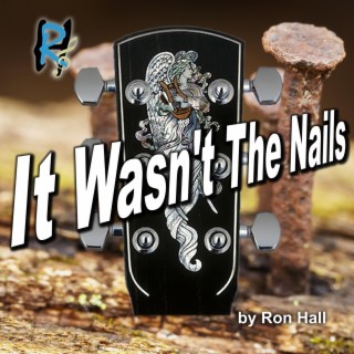 It Wasn't The Nails lyrics | Boomplay Music