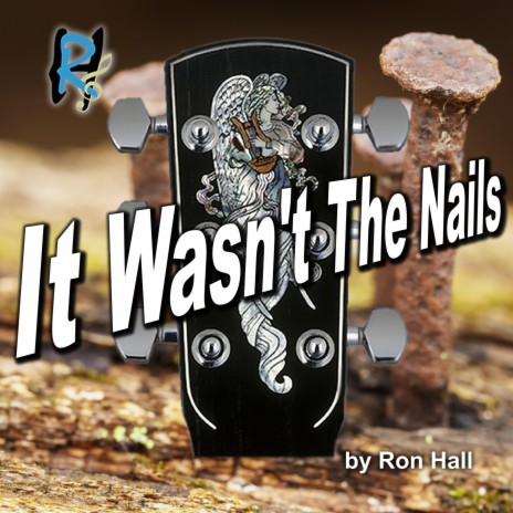 It Wasn't The Nails | Boomplay Music