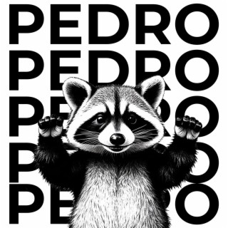 Pedro Pedro Pedro