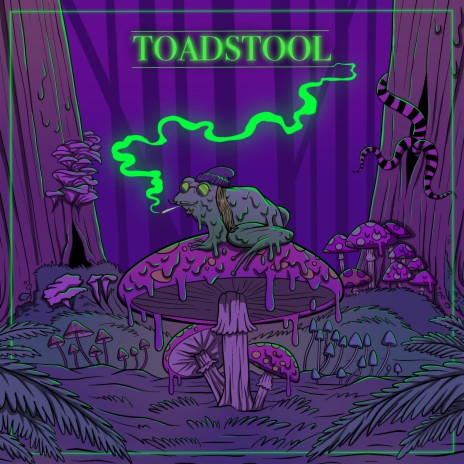 TOAD STOOL | Boomplay Music