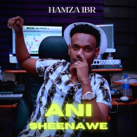 Ani Sheenawe | Boomplay Music