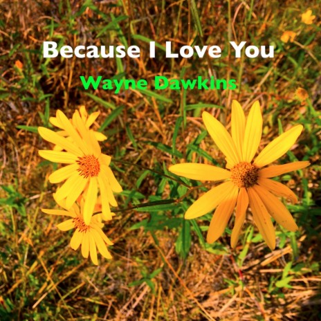 Because I Love You | Boomplay Music