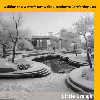 Walking on a Winter's Day While Listening to Comforting Jazz