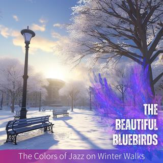 The Colors of Jazz on Winter Walks