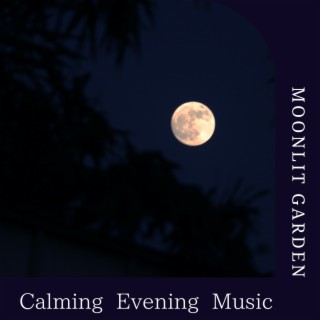 Calming Evening Music