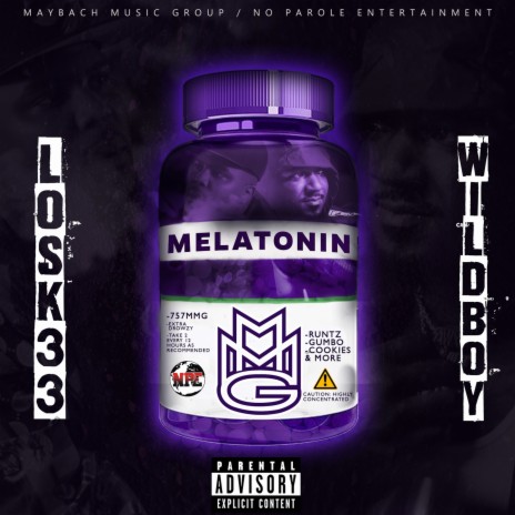 Melatonin ft. Wildboy | Boomplay Music