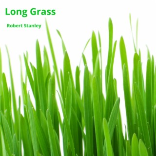 Long Grass