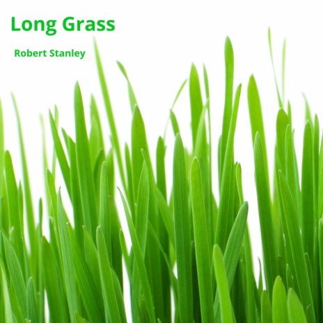 Long Grass | Boomplay Music