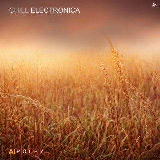 Chill Electronica