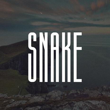 Snake (Pluggnb Type Beat) | Boomplay Music