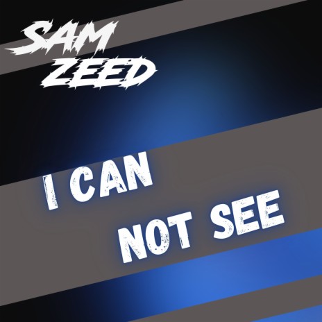 I Can Not See