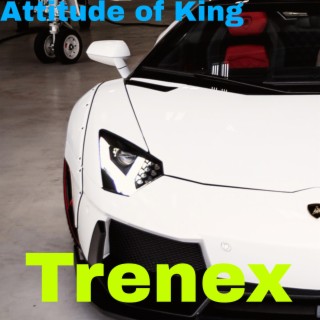 Attitude of King (feat. Zulfe Ahmed)