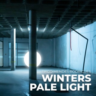 Winter's Pale Light