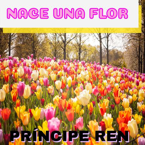 NACE UNA FLOR