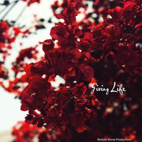 Giving Life ft. Dr. Rick Boswell | Boomplay Music