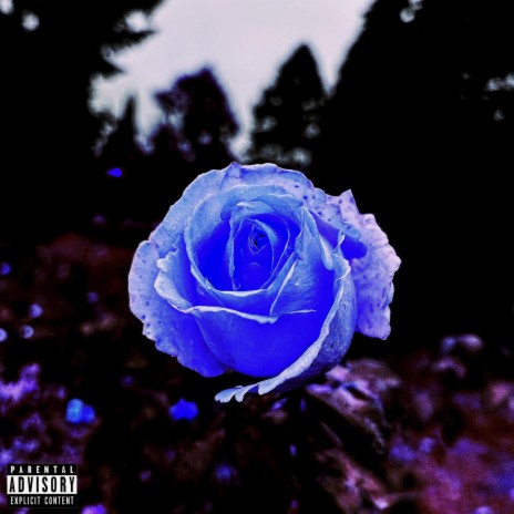 Time To Bloom | Boomplay Music