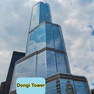 Der Aufstieg in Dongi Tower